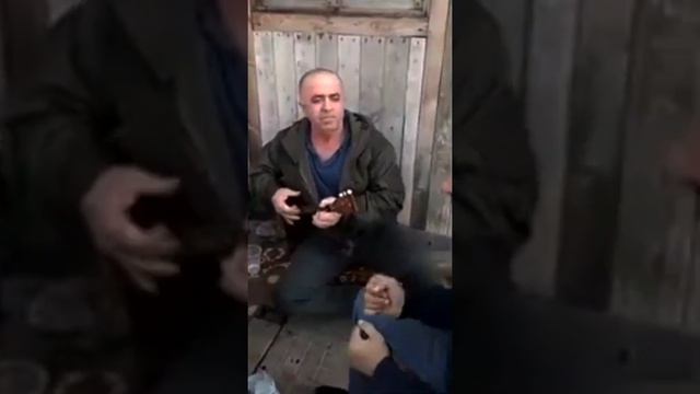 Даргинская песня на балалайке от Сулеймана #калкни #дахадаевскийрайон смотреть онлайн