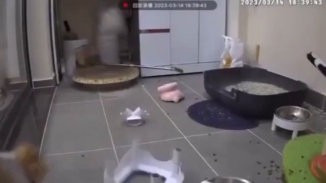 VID_20231107_113621_445.mp4