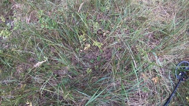 Эквинокс 800. Вы будете смеяться,насколько это просто. Коп 2019.