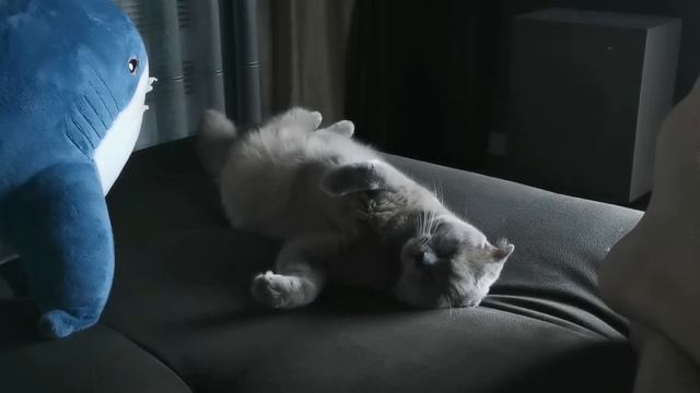 Зевсу снятся сны смотреть онлайн