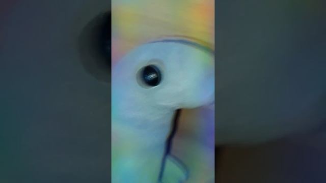 Рисуем ждуна/короче говоря/ нажми на паузу и посматри что попалось/ смотреть онлайн