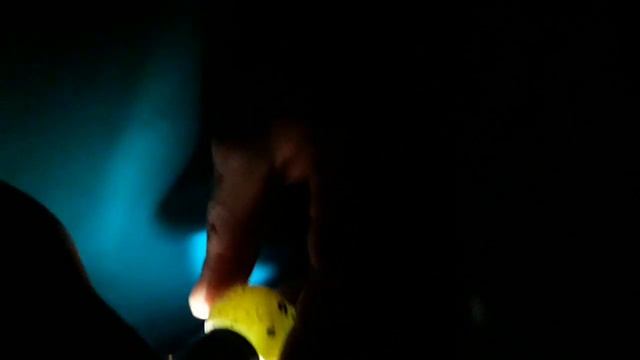 Инкубация перепелиных яиц. День пятый. Пробное овоскопирование. смотреть онлайн