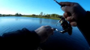 Река Тосна.