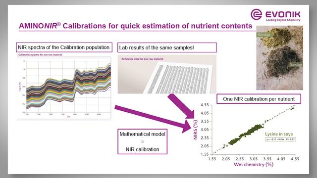 Profitable dairy production with Evonik's solutions | Evonik смотреть онлайн