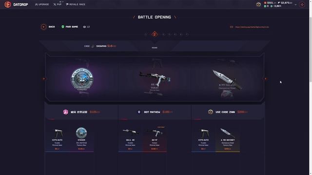 DATDROP 2800$ HUGE PROFIT WITH CASE BATTLES | DatDrop Promo Code 2024 | смотреть онлайн