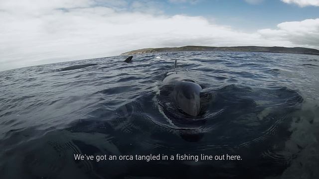 GoPro HERO4 The Adventure of Life in 4K смотреть онлайн