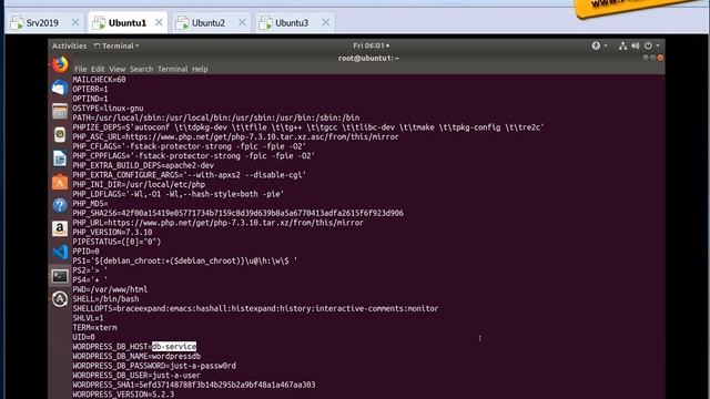 שירותי Swarm - DNS смотреть онлайн