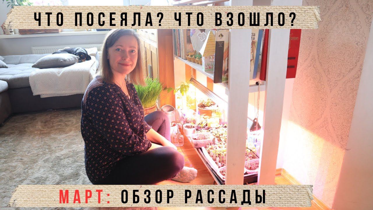 Обзор рассады и пикировка / Перец, баклажаны, томаты, цветы, хлопок смотреть онлайн
