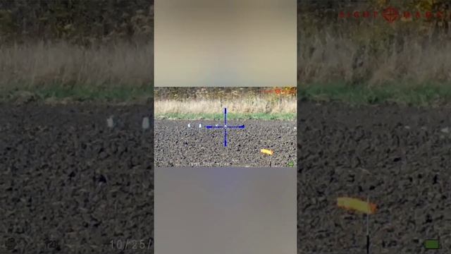 Охота на баночки горошка, отстрел комрада смотреть онлайн