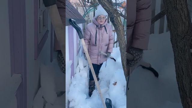Передержка штамбовой розы до посадки смотреть онлайн