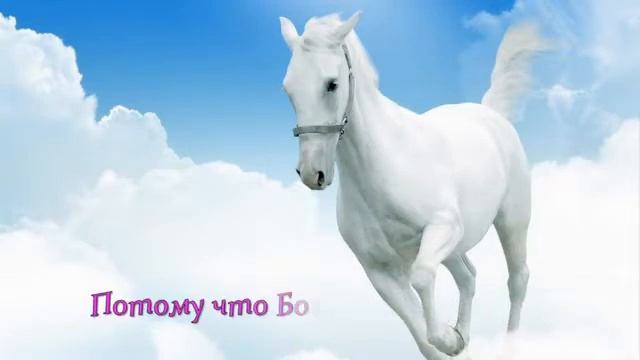 С Днем рождения, Марина! смотреть онлайн