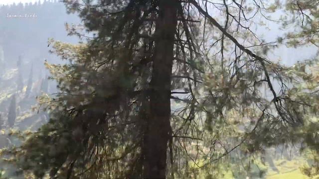Things to cover in Pahalgam | Kashmir vlog Part 3 смотреть онлайн