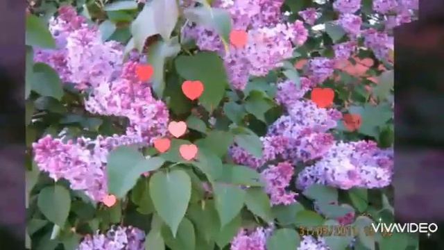 27 апреля 2023 г. смотреть онлайн