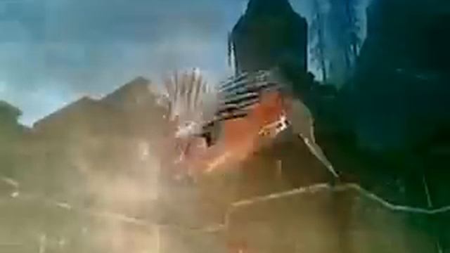 SKYRIM PHOENIX RISING FROM ASHES!