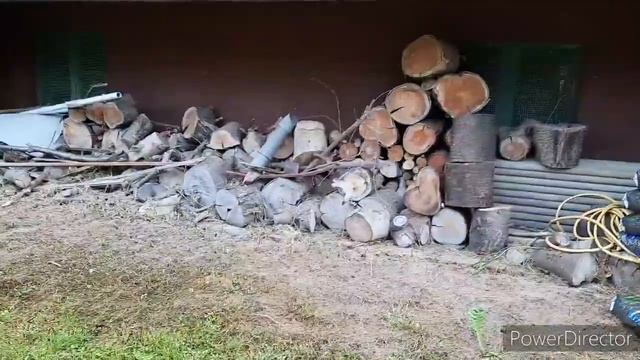 ГЕРМАНИЯ,,ВЛОГ,,в город по делам,,преоброжаем наш участок,,новые цветы смотреть онлайн