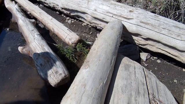 РЫБАЛКА НА МОРДУ/ПОЙМАЛИ КУЧУ ОКУНЕЙ ЗА 1 ЧАС/ОКУНЬ НА РЕШЕТКЕ смотреть онлайн