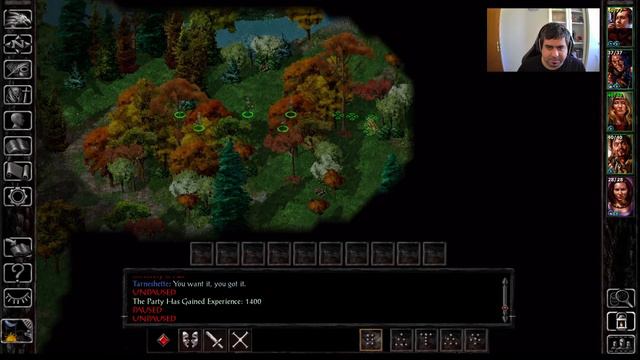 Outside the Cloackwood Mines - Baldur's Gate 1 EE Randomized Nuzlocke Challenge (s02e27) смотреть онлайн