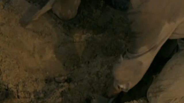 Ты же выжил, солдат... смотреть онлайн