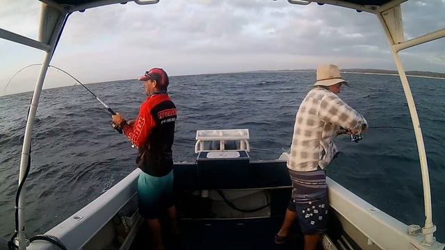Snapper Fishing Evans Head Using Gulp Soft Plastics Double Hook Up смотреть онлайн