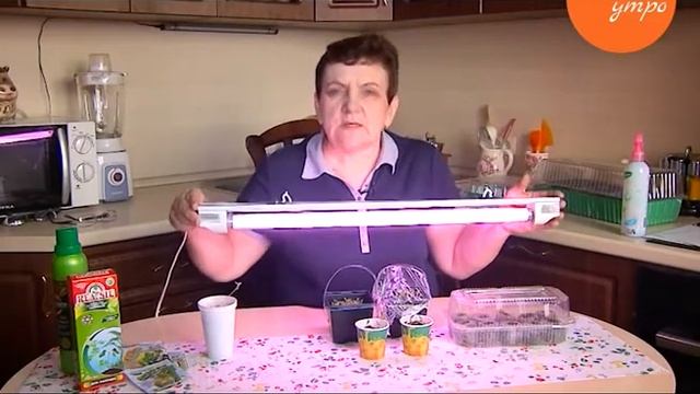 Светлана Мартынова советует, как подсвечивать рассаду смотреть онлайн