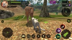 СИМУЛЯТОР ТИГРА #3 Красный тигренок против черепахи и крокодила. Сим дикой кошки с Кидом в The Tige