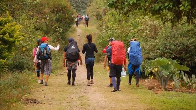 Climb Mount Apo Davao City, Philippines смотреть онлайн