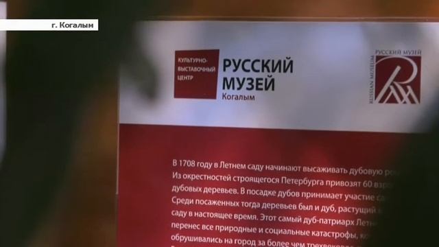 В Когалыме будут расти потомки старейших дубов Санкт-Петербурга смотреть онлайн
