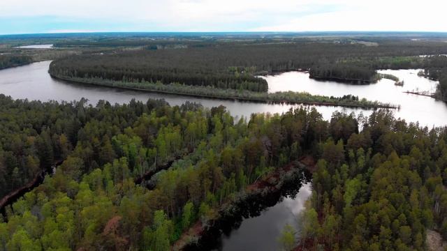 Выходные пролетели