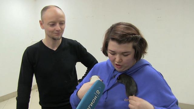 Выставка кошек и прочих зверюшек. смотреть онлайн
