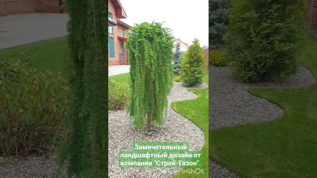 Ландшафтный дизайн. Сайт: stroi-gazon.ru смотреть онлайн