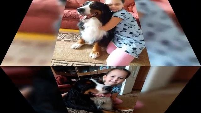 дочки.две.принцессы смотреть онлайн