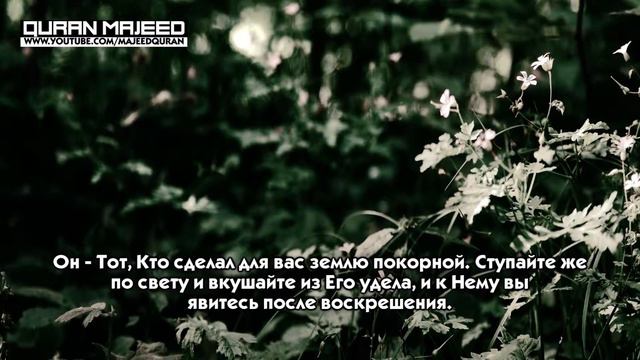 Файсал ар Рушуд, Сура аль Мульк Власть смотреть онлайн
