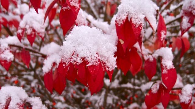 Падает снег смотреть онлайн