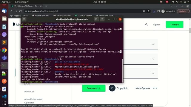 How to Install MongoDB on Ubuntu 20.04 - Linux (hindi /urdu) || mongodb kaise install kare ubuntu p смотреть онлайн