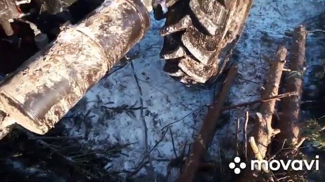 МтЗ 82.1 в лесу. смотреть онлайн