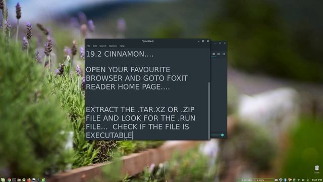 Installing Foxit PDF Reader on Linux Mint 19.2 Cinnamon смотреть онлайн