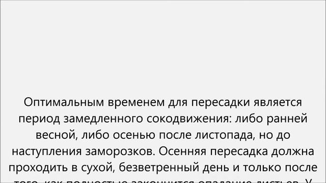 Ремонтные Историки