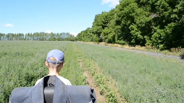 За дровами. Самодельный минитрактор с самодельным прицепом. смотреть онлайн