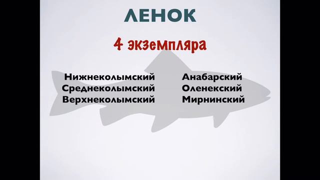 Инфа для рыбаков! смотреть онлайн