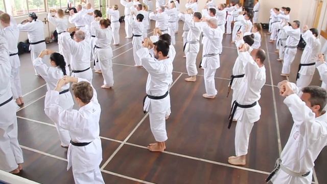 Kata Bassai Dai смотреть онлайн