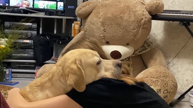 Обнимашки перед сном смотреть онлайн