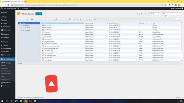?Jak dodać manager plików FTP na stronę WordPress?? ? File Manager na stronie internetowej WordPres смотреть онлайн
