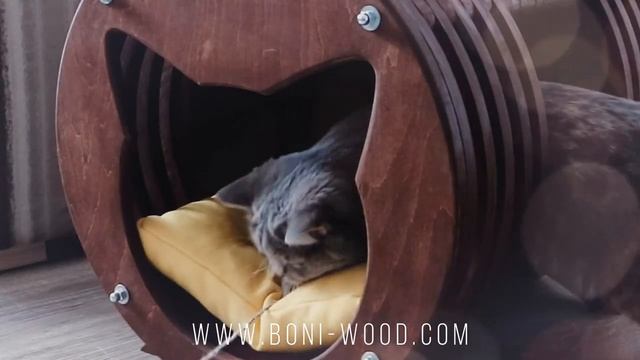 Кішка в захваті. Лофт-лежанка для кішок “Barrel” від компанії Бонівуд. Зроблено в Україні. смотреть онлайн