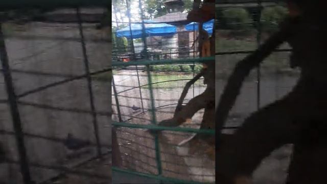 Южный парк, Калининград смотреть онлайн