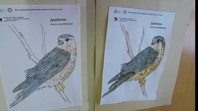 рисуем дербника 1 смотреть онлайн