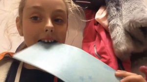 Съедобные деньги