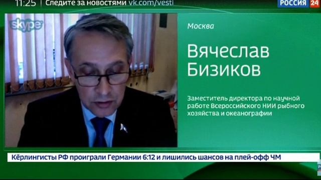 Сколько стоит спасение китов из б.Средняя смотреть онлайн