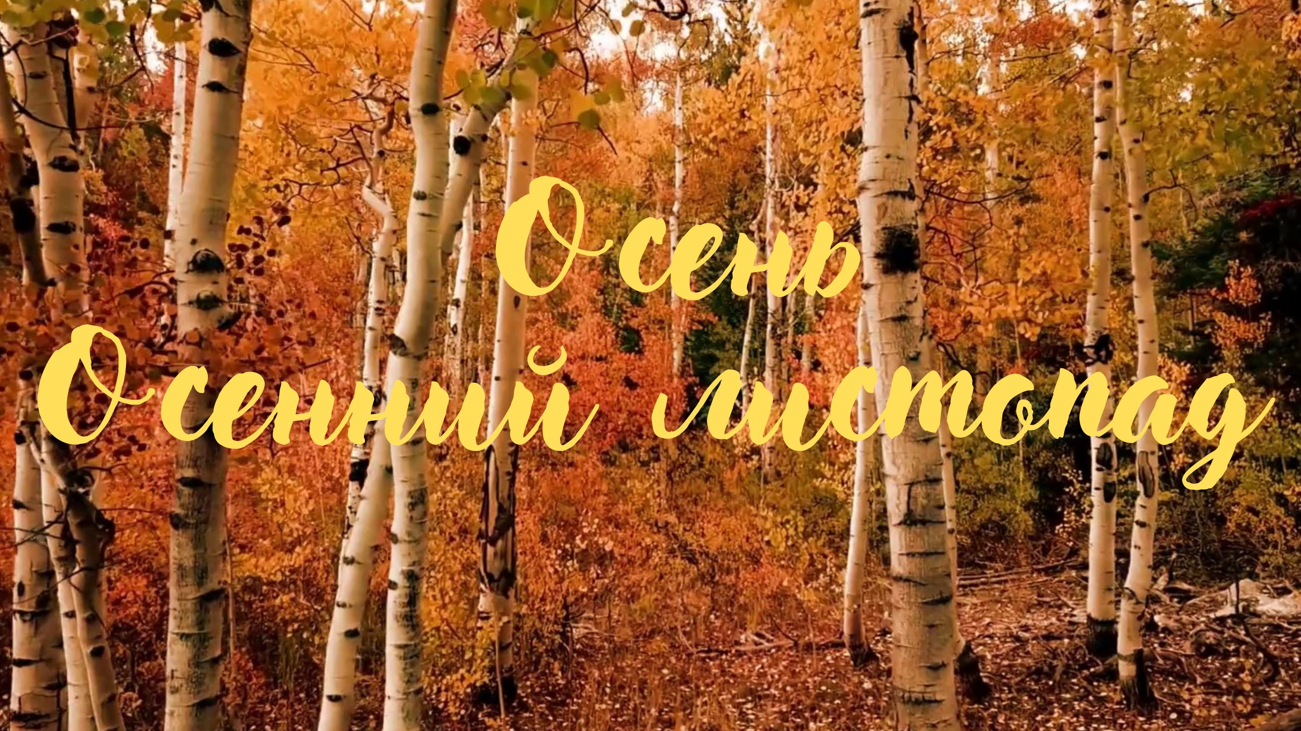 ОСЕНЬ. Осенний листопад. Красивая романтическая музыка. смотреть онлайн