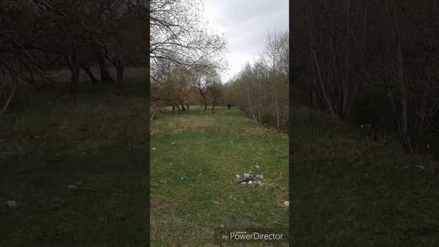 Питбайк покатухи, ттр 125сс, кайо 150сс, кайо 250сс, мотоленд 125сс. Мой смотреть онлайн