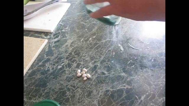 КАК ПОСАДИТЬ ФАСОЛЬ (ФАСОЛЬ НА ПОДОКОННИКЕ) смотреть онлайн